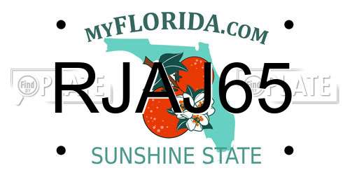 RJAJ65 Florida License Plate