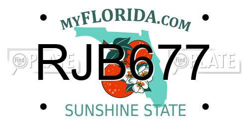 RJB677 Florida License Plate