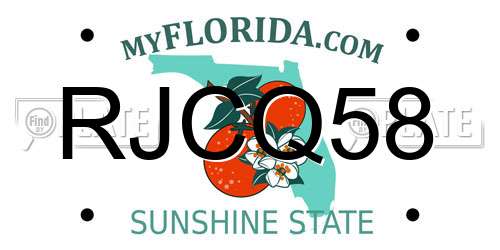 RJCQ58 Florida License Plate