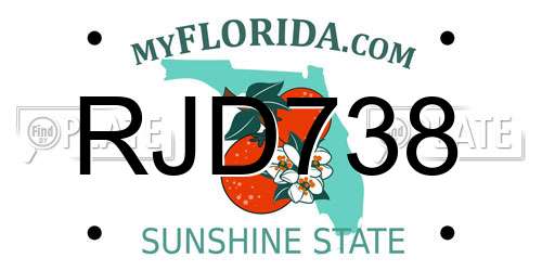 RJD738 Florida License Plate