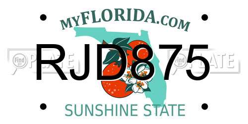 RJD875 Florida License Plate