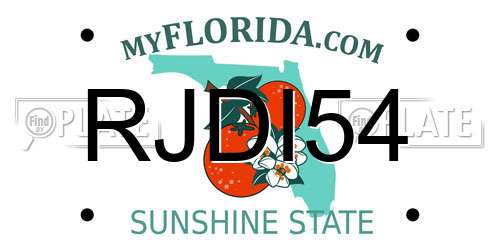 RJDI54 Florida License Plate