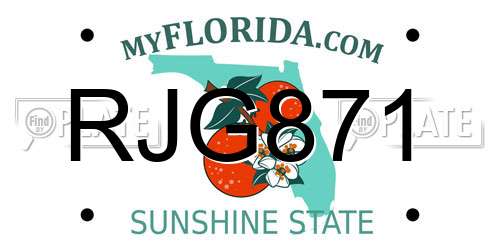 RJG871 Florida License Plate