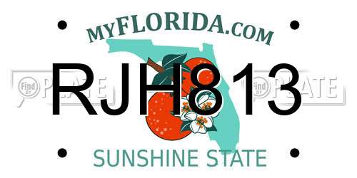 RJH813 Florida License Plate