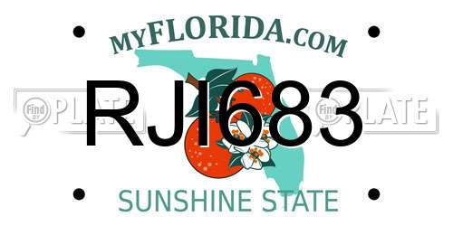 RJI683 Florida License Plate