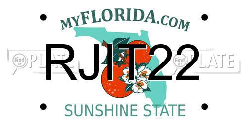 RJIT22 Florida License Plate