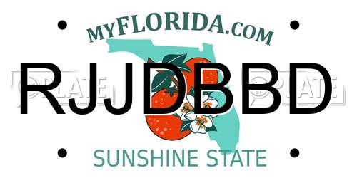 RJJDBBD Florida License Plate