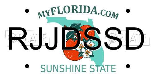 RJJDSSD Florida License Plate