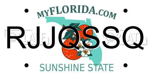 RJJQSSQ Florida License Plate