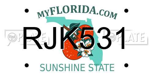 RJK531 Florida License Plate
