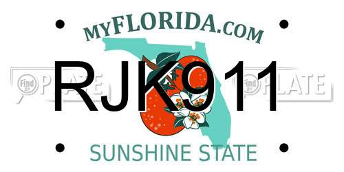 RJK911 Florida License Plate