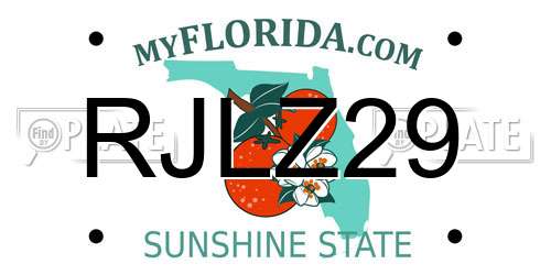 RJLZ29 Florida License Plate