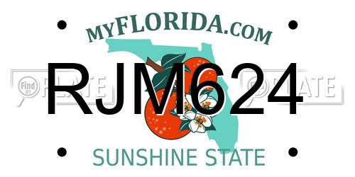 RJM624 Florida License Plate