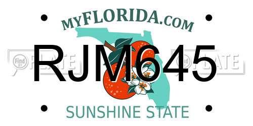 RJM645 Florida License Plate