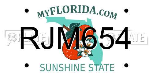 RJM654 Florida License Plate