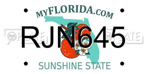 RJN645 Florida License Plate