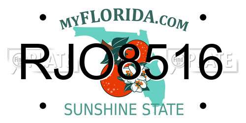 RJO8516 Florida License Plate