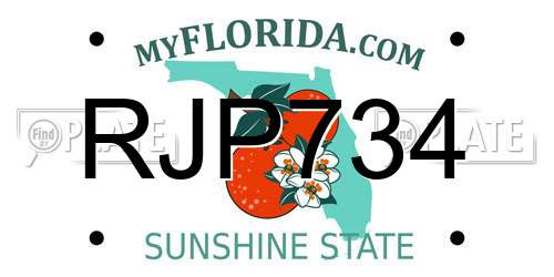 RJP734 Florida License Plate