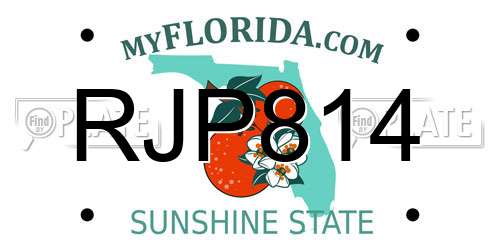 RJP814 Florida License Plate
