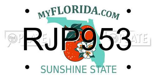 RJP953 Florida License Plate