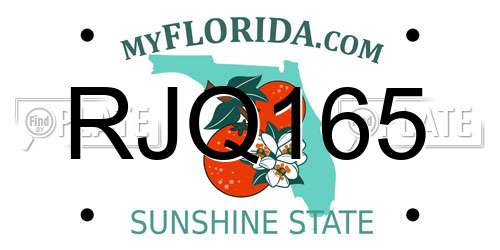 RJQ165 Florida License Plate