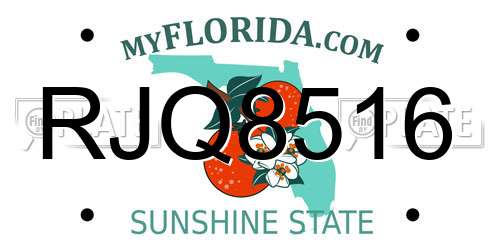RJQ8516 Florida License Plate