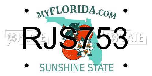 RJS753 Florida License Plate