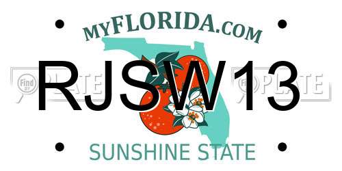 RJSW13 Florida License Plate