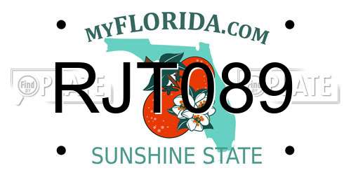 RJT089 Florida License Plate