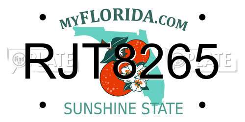 RJT8265 Florida License Plate