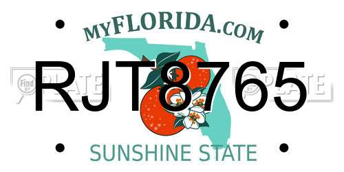 RJT8765 Florida License Plate