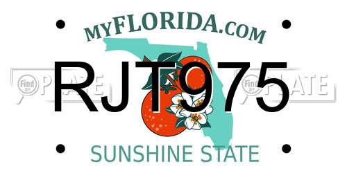 RJT975 Florida License Plate
