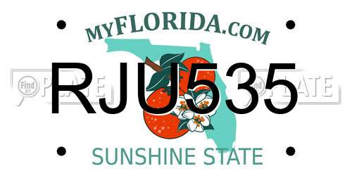 RJU535 Florida License Plate