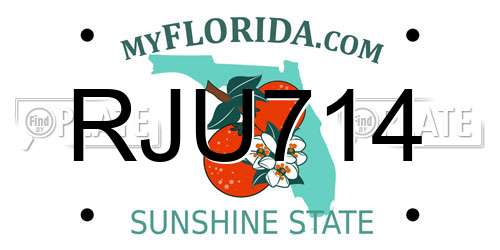 RJU714 Florida License Plate
