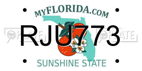 RJU773 Florida License Plate