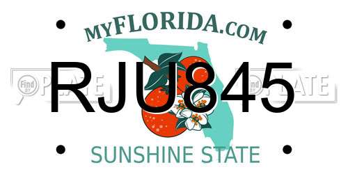 RJU845 Florida License Plate