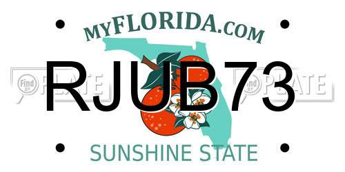 RJUB73 Florida License Plate