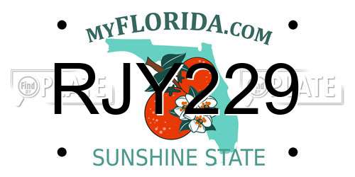 RJY229 Florida License Plate