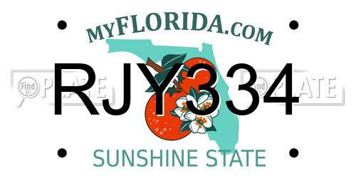 RJY334 Florida License Plate