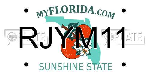 RJYM11 Florida License Plate