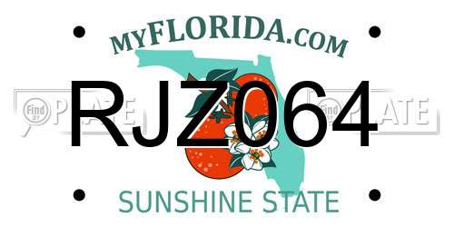 RJZ064 Florida License Plate