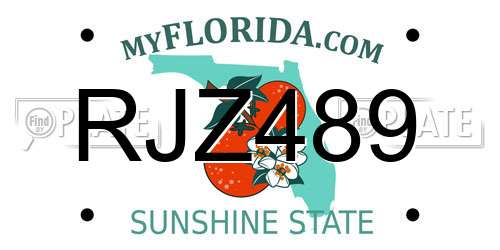 RJZ489 Florida License Plate