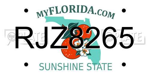RJZ8265 Florida License Plate