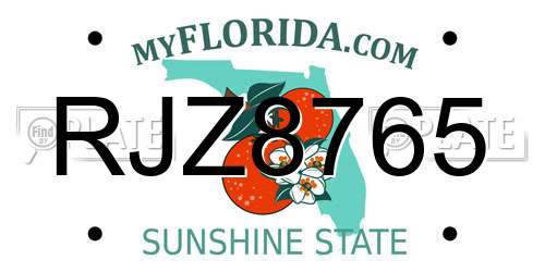 RJZ8765 Florida License Plate