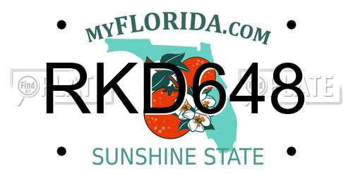 RKD648 Florida License Plate