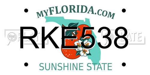 RKE538 Florida License Plate