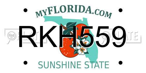 RKH559 Florida License Plate