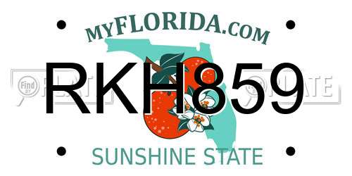 RKH859 Florida License Plate