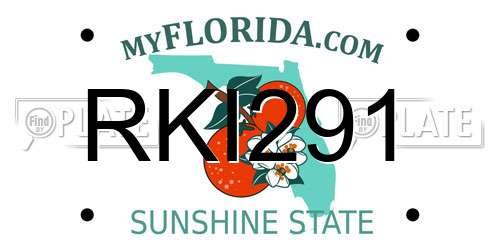 RKI291 Florida License Plate