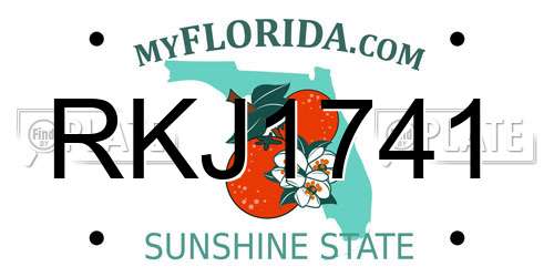 RKJ1741 Florida License Plate